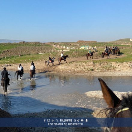 Exciting Horse Riding Adventure: A Perfect Escape Into Nature